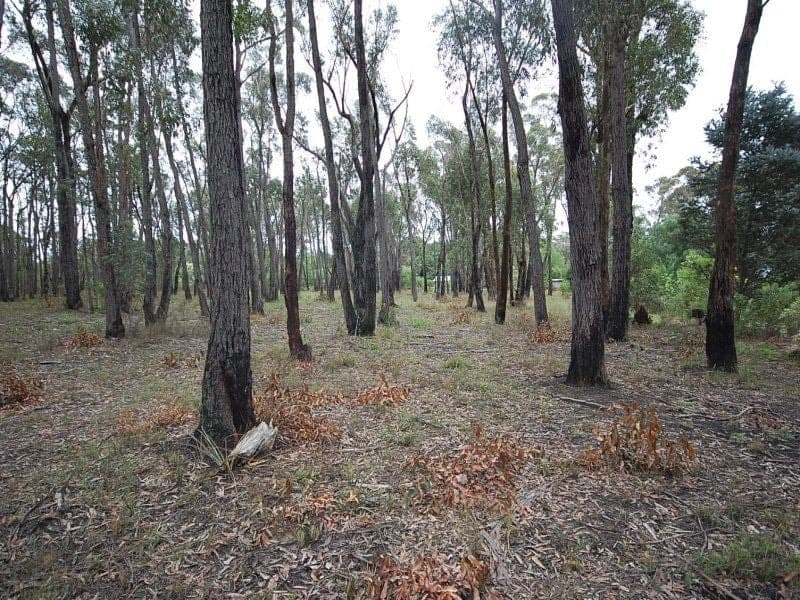 Lot 9 Jasmine Street, COLO VALE NSW, Colo Vale - Image 1