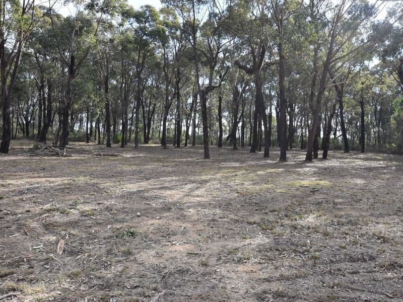 Lot 35, 6D Drapers Road, WILLOW VALE NSW, Willow Vale - Image 1