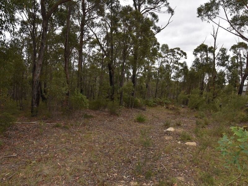 20 Gascoigne Street, WILLOW VALE NSW, Willow Vale - Image 1