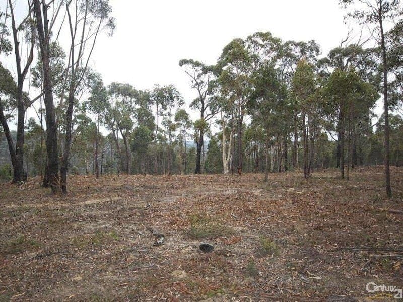 Willow Vale NSW, Willow Vale - Image 1
