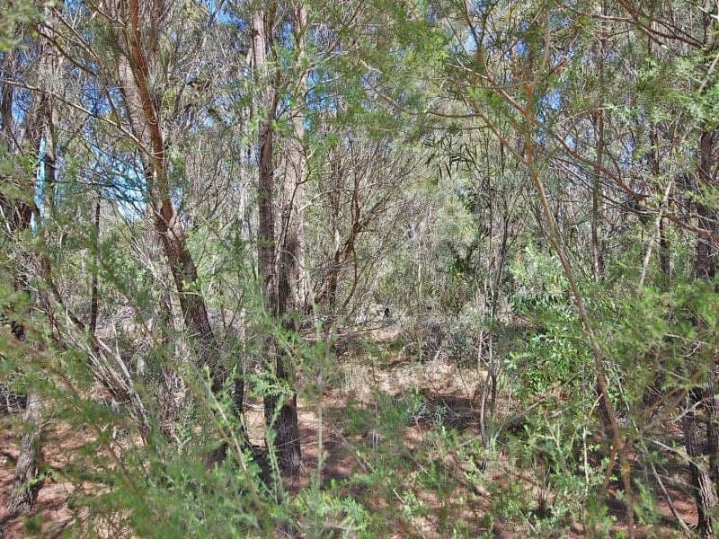 Lot 267 Kyber Road, YERRINBOOL NSW, Yerrinbool - Image 1
