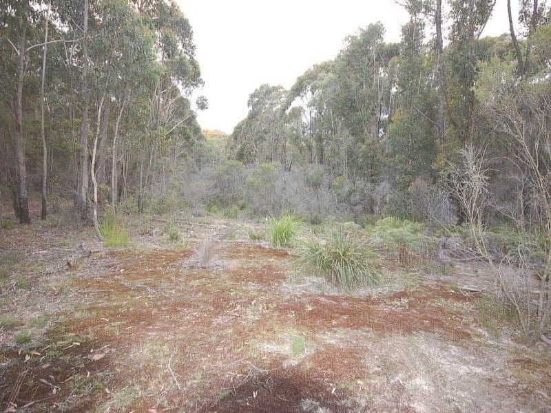 Colo Vale NSW, Colo Vale - Image 1