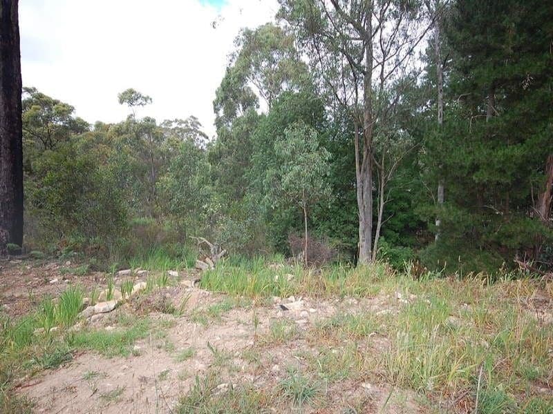 Hill Top NSW, Hill Top - Image 1