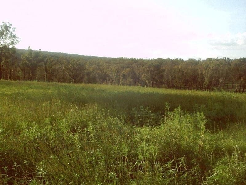 80 Estonian Road, THIRLMERE NSW, Thirlmere - Image 1