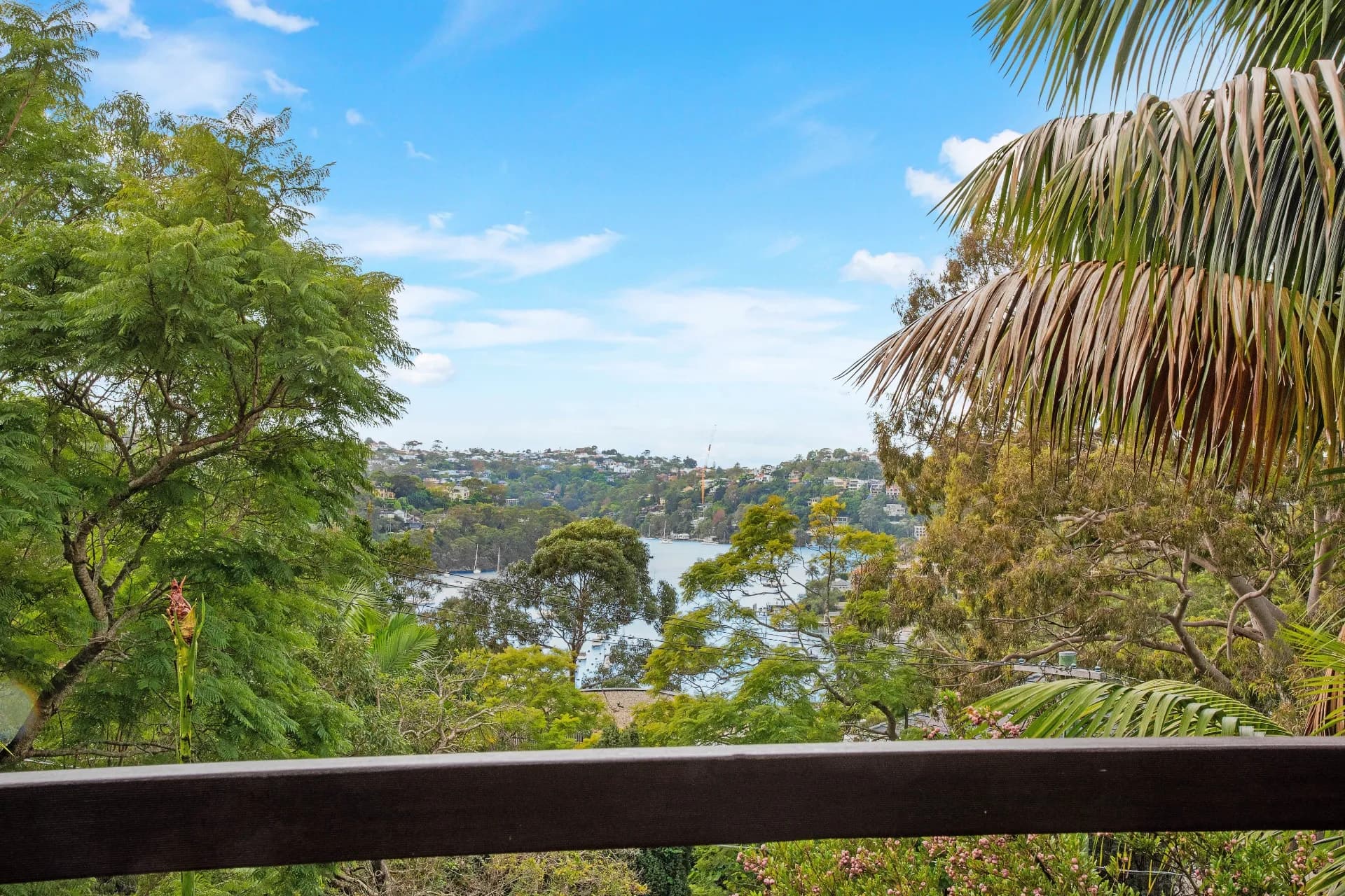 65 Kameruka Road, Northbridge, NSW, Northbridge - Thumbnail 2
