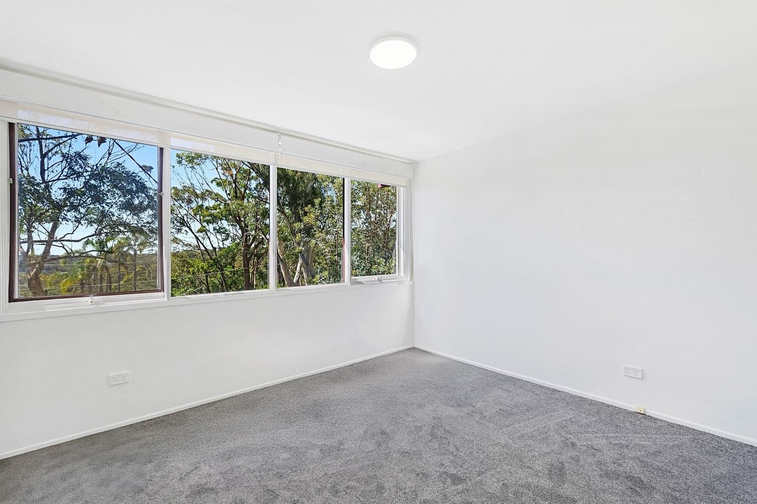 8 Janita Crescent, Mount Colah, Mount Colah - Thumbnail 5