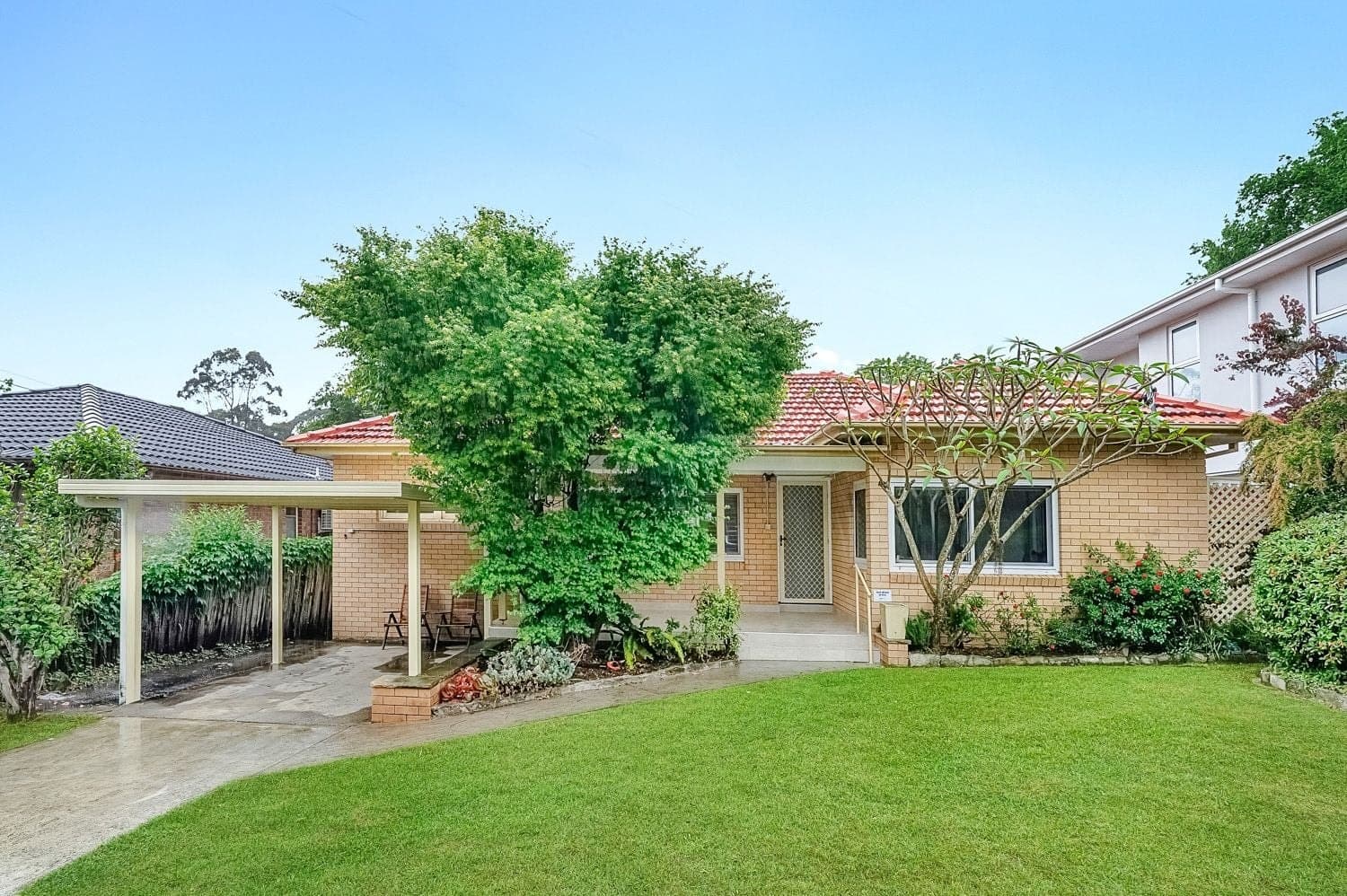 77 Clarke Road, Hornsby, Hornsby - Thumbnail 2