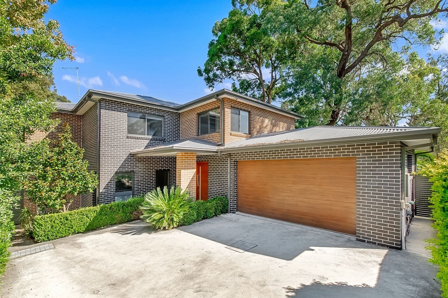 75A Duffy Avenue, Thornleigh, Thornleigh - Thumbnail 2