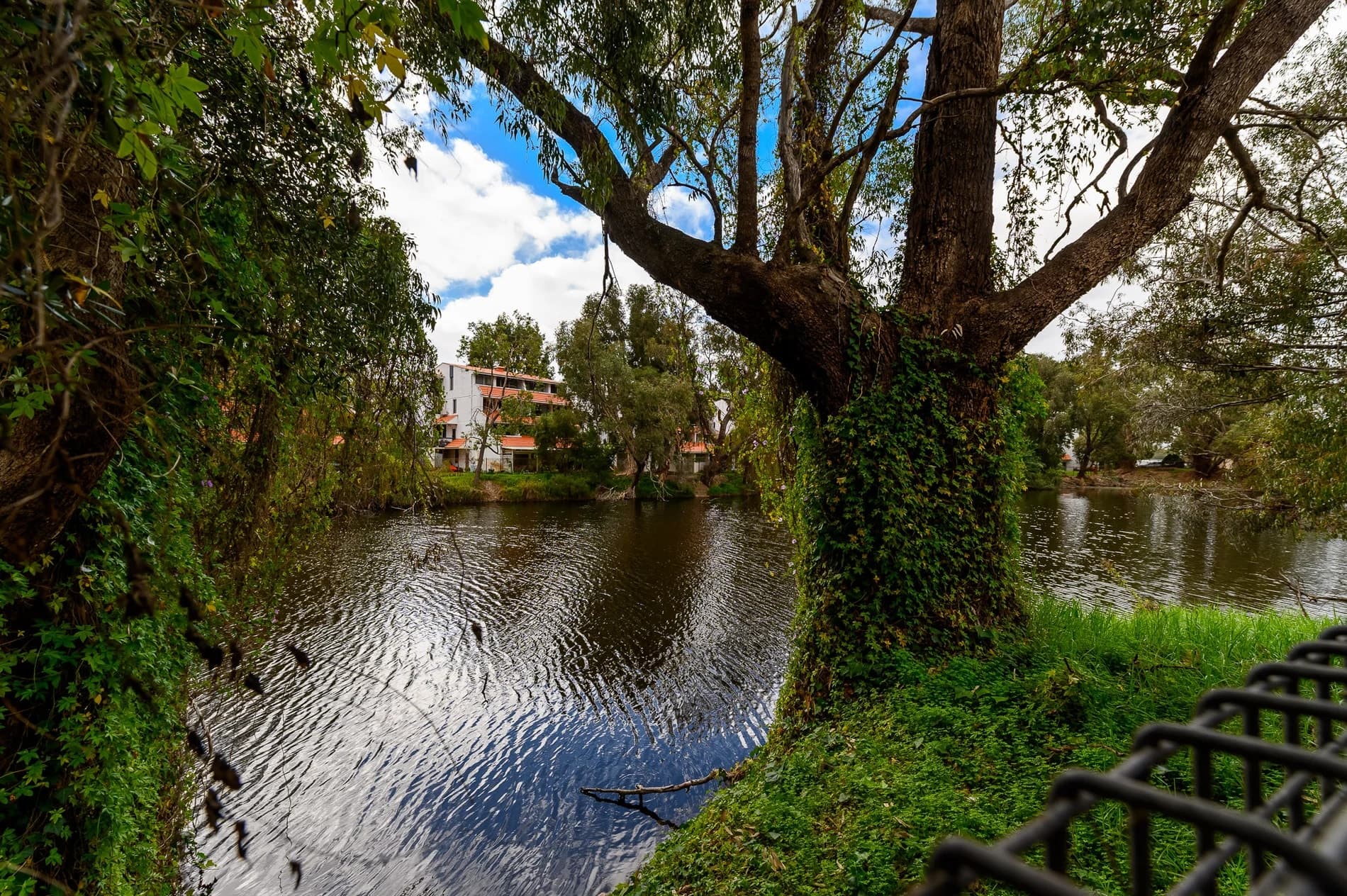 53/133 Lincoln Street, PERTH WA 6000, Perth - Thumbnail 7