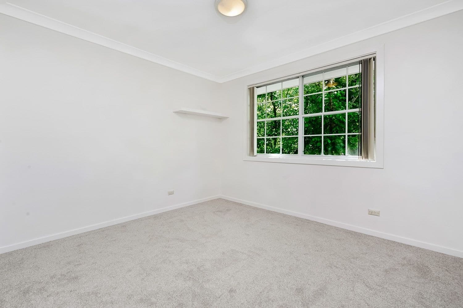 4 Brigalow Place, Westleigh, Westleigh - Thumbnail 6