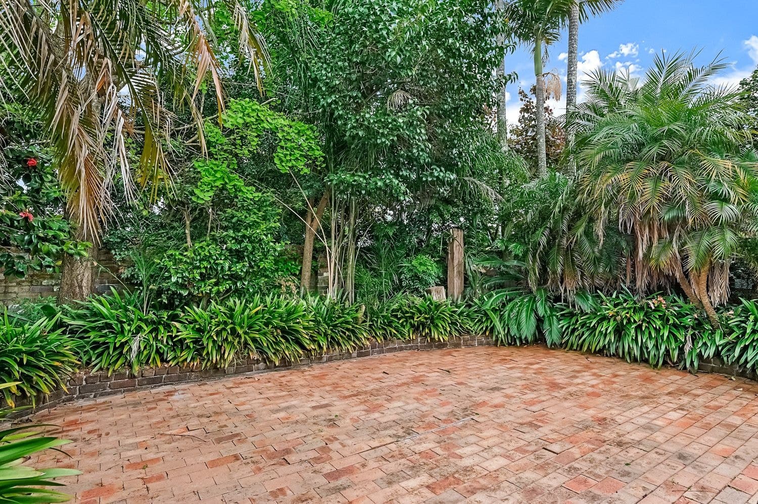 239 Peats Ferry Road, Hornsby, Hornsby - Thumbnail 7