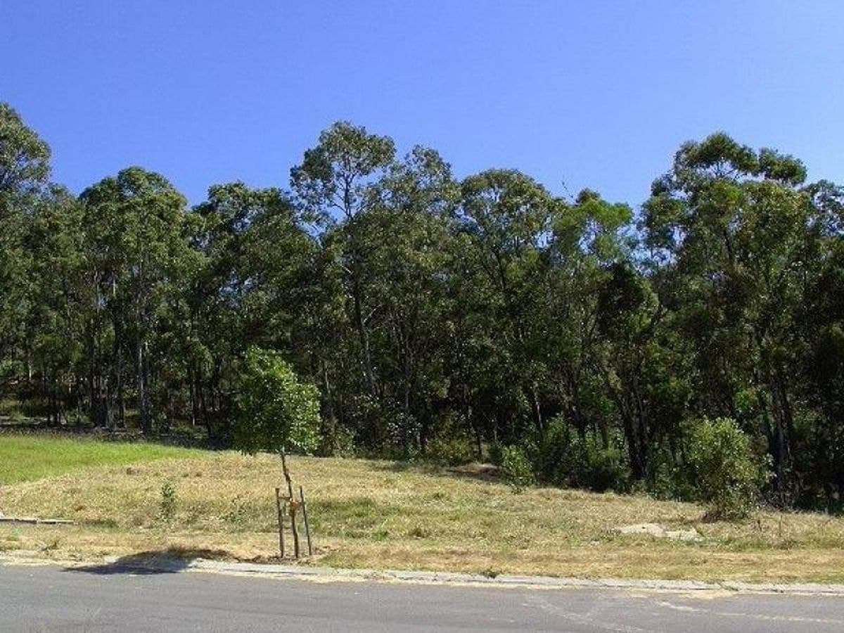15 Currawong Crescent, Upper Coomera, Upper Coomera - Thumbnail 7