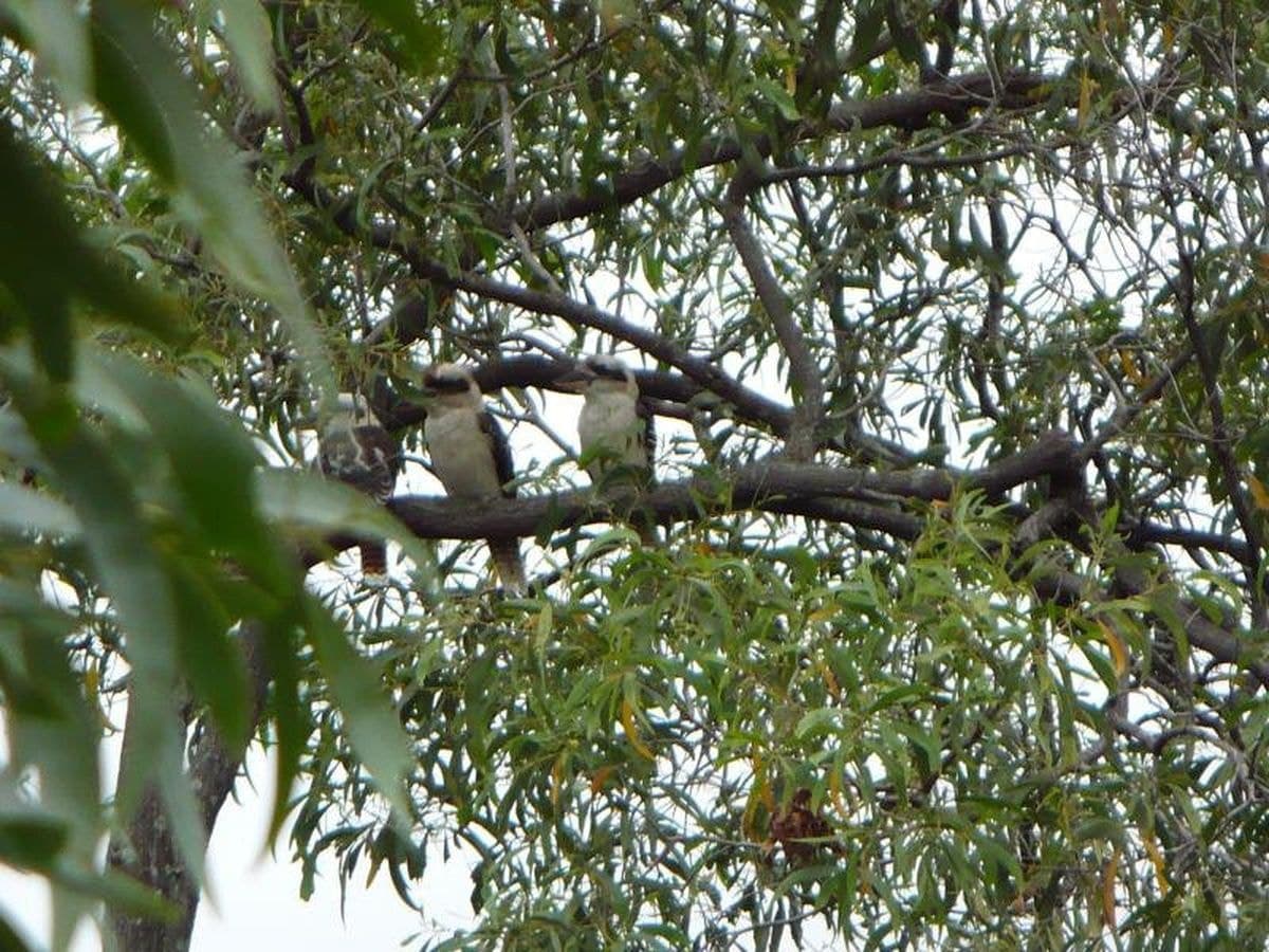 1024 / 6 Crestridge, Oxenford, Oxenford - Thumbnail 4