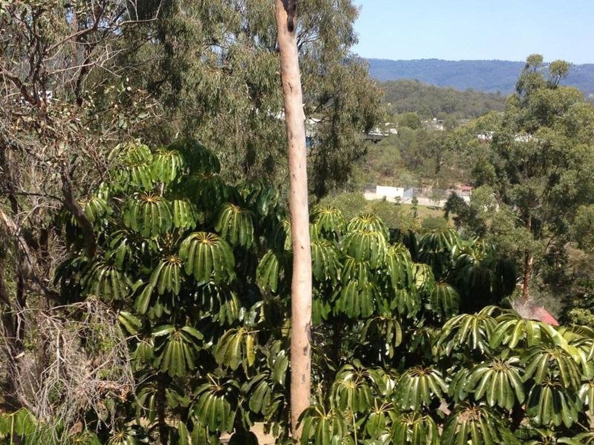 1024 / 6 Crestridge, Oxenford, Oxenford - Thumbnail 5
