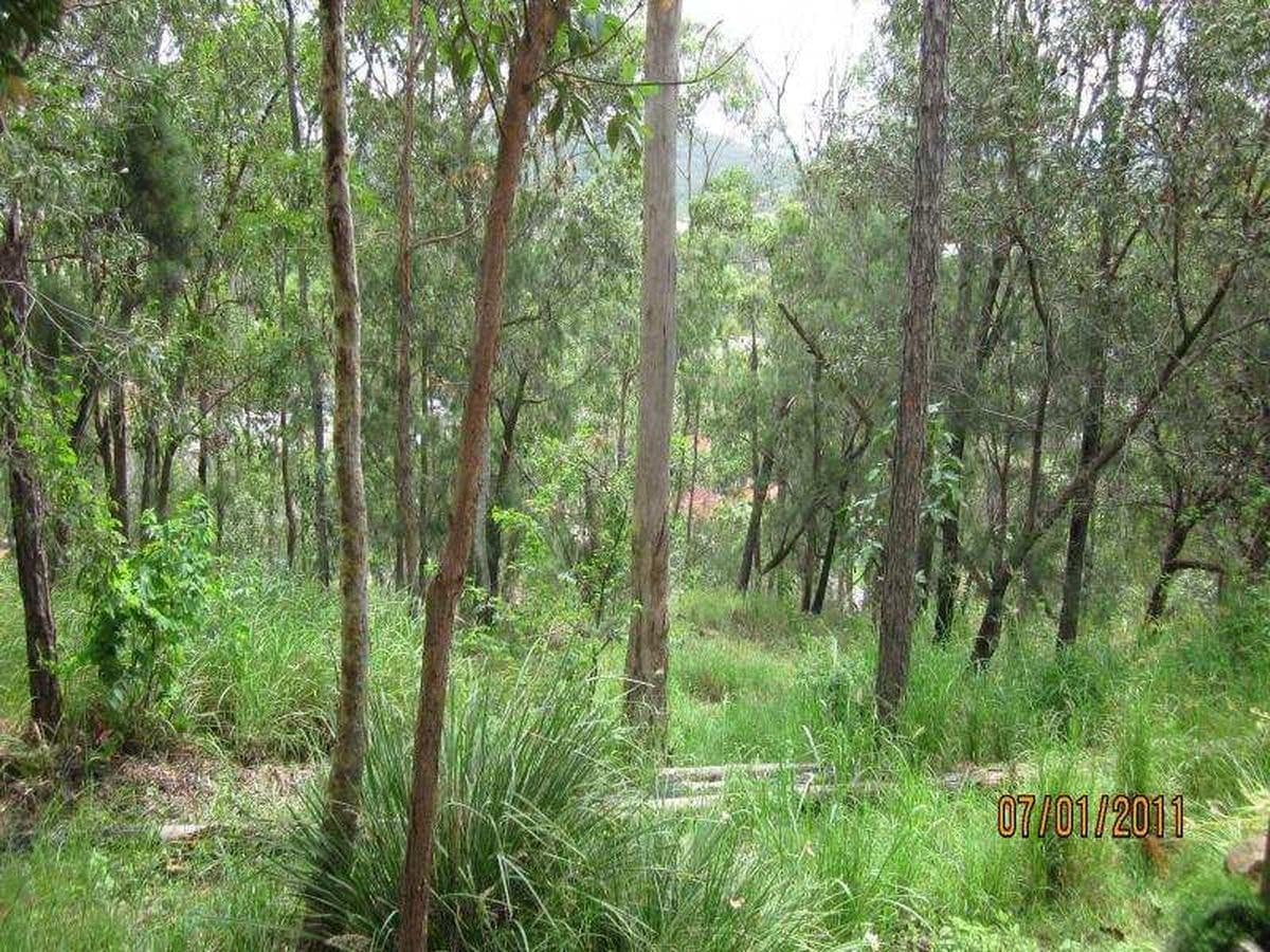 6 Crestridge, Oxenford, Oxenford - Thumbnail 8