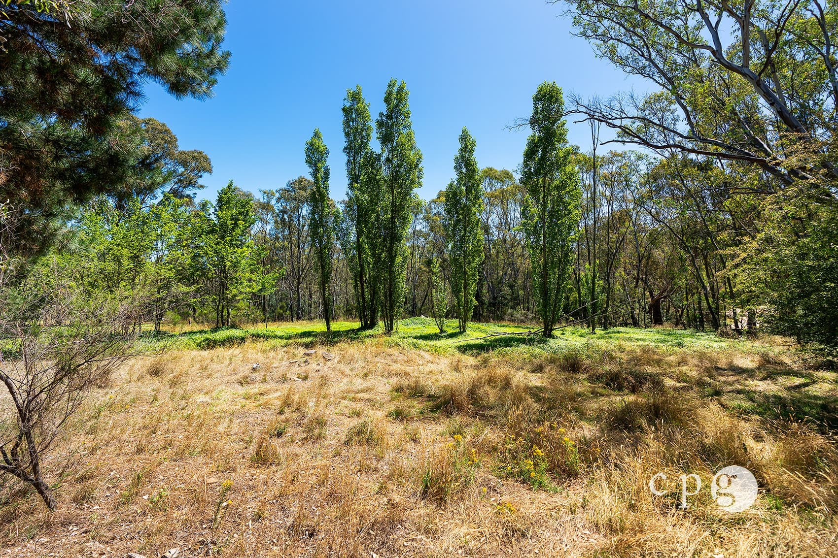 329 Chewton Faraday Road, GOLDEN POINT, VIC 3451, Golden Point - Thumbnail 6