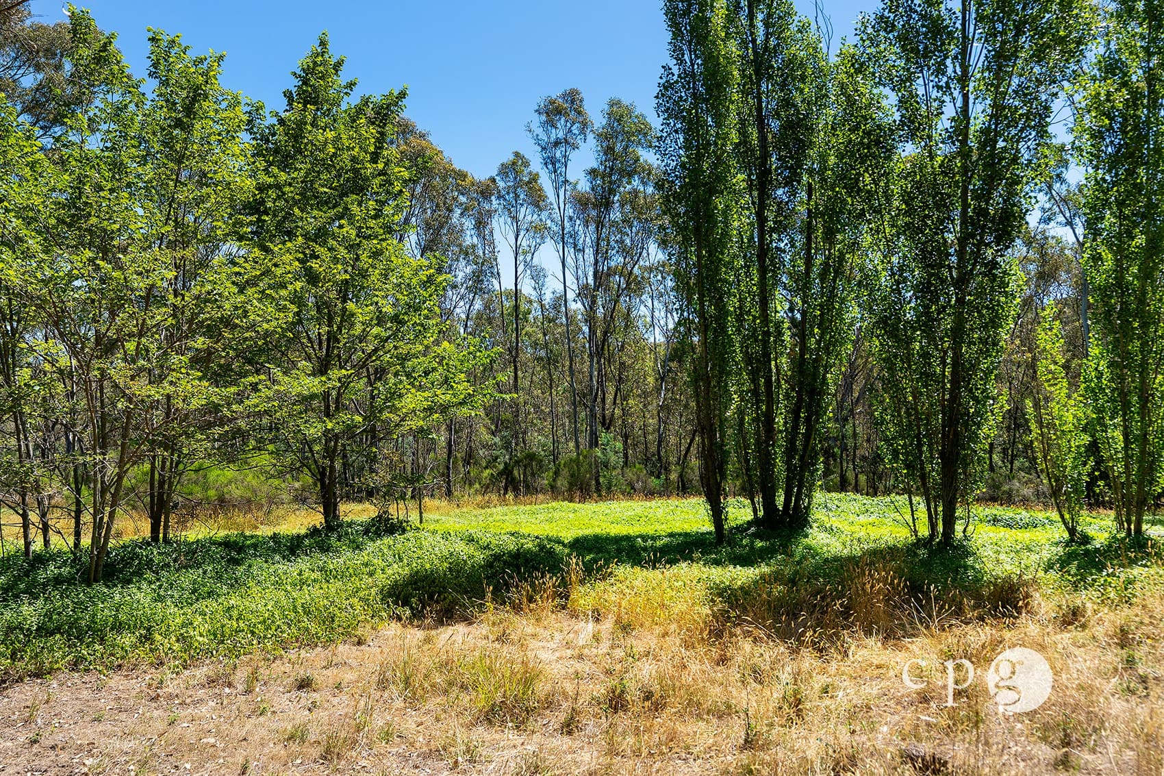 329 Chewton Faraday Road, GOLDEN POINT, VIC 3451, Golden Point - Thumbnail 7
