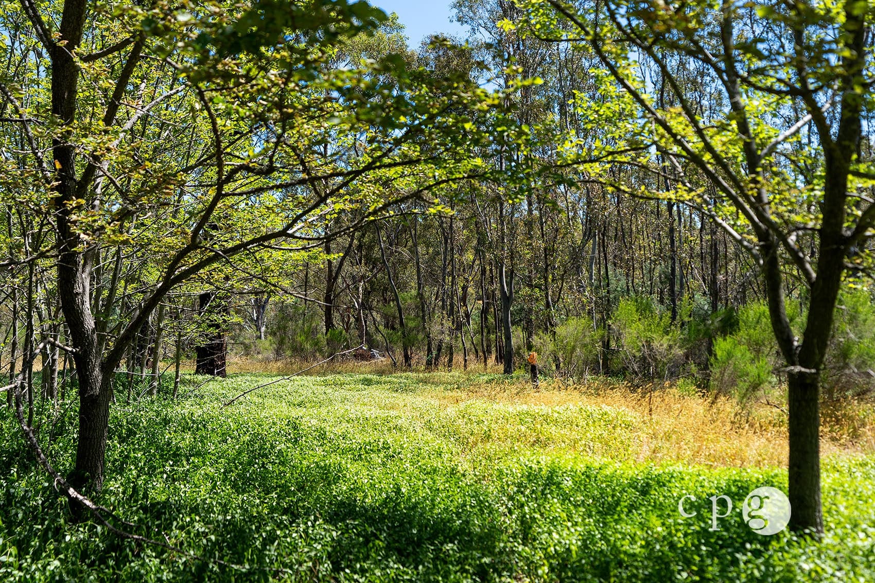329 Chewton Faraday Road, GOLDEN POINT, VIC 3451, Golden Point - Thumbnail 8