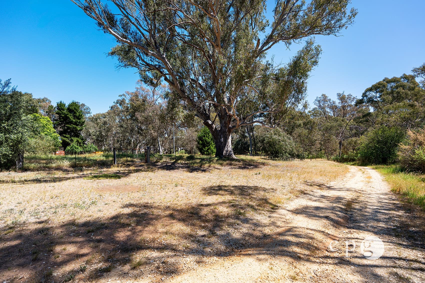 517 Maldon Newstead Road, WELSHMANS REEF, VIC 3462, Welshmans Reef - Thumbnail 5