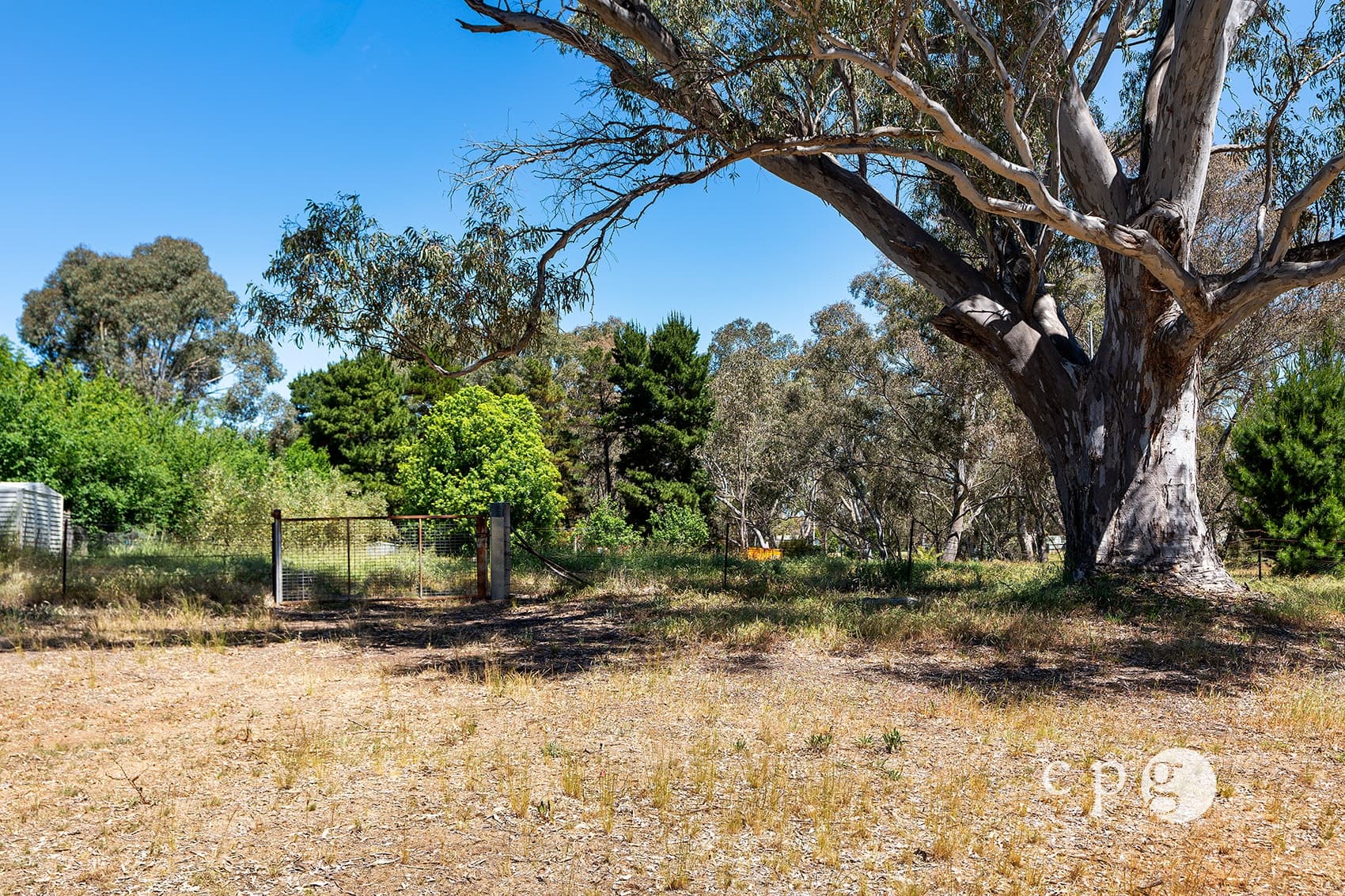 517 Maldon Newstead Road, WELSHMANS REEF, VIC 3462, Welshmans Reef - Thumbnail 6