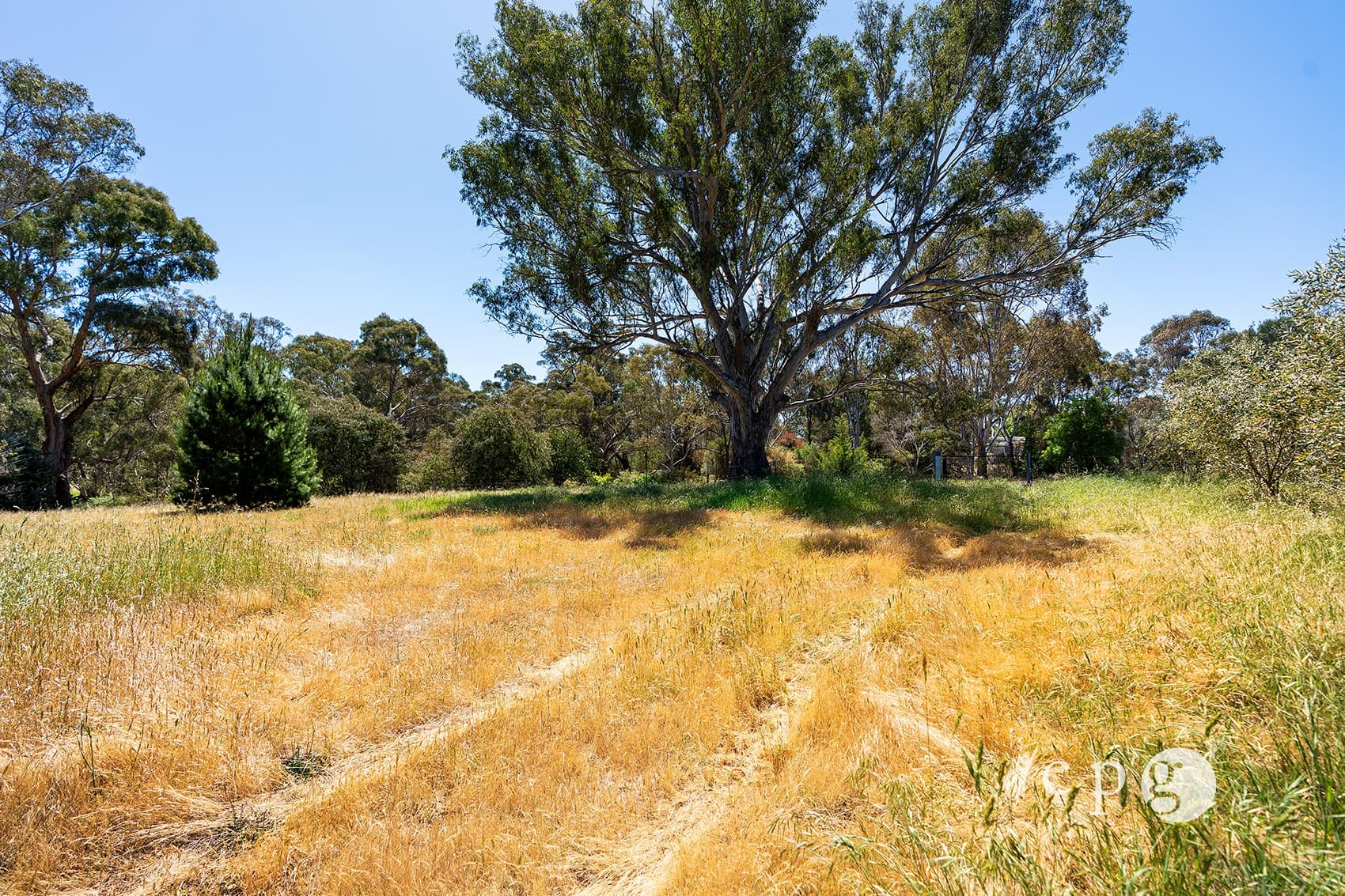 517 Maldon Newstead Road, WELSHMANS REEF, VIC 3462, Welshmans Reef - Thumbnail 7