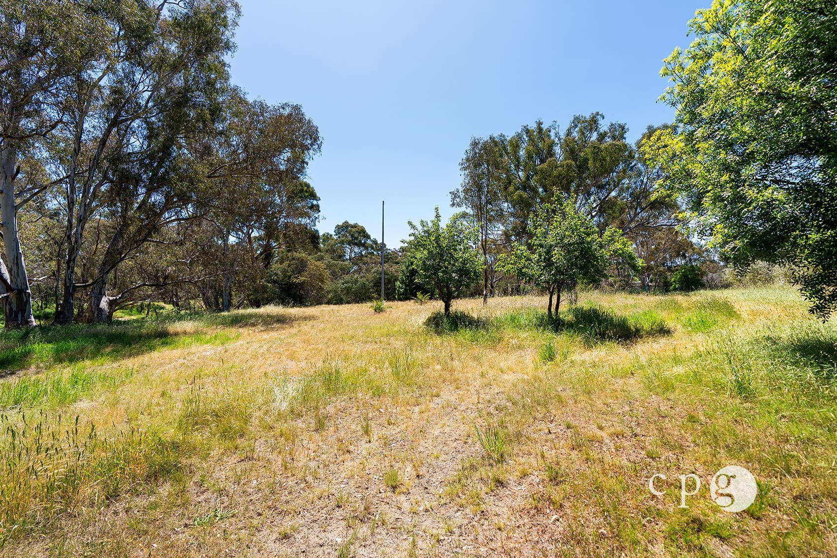 517 Maldon Newstead Road, WELSHMANS REEF, VIC 3462, Welshmans Reef - Thumbnail 8