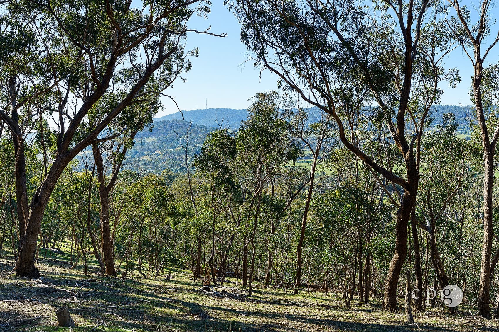 376 Specimen Gully Road, BARKERS CREEK, VIC 3451, Barkers Creek - Image 1