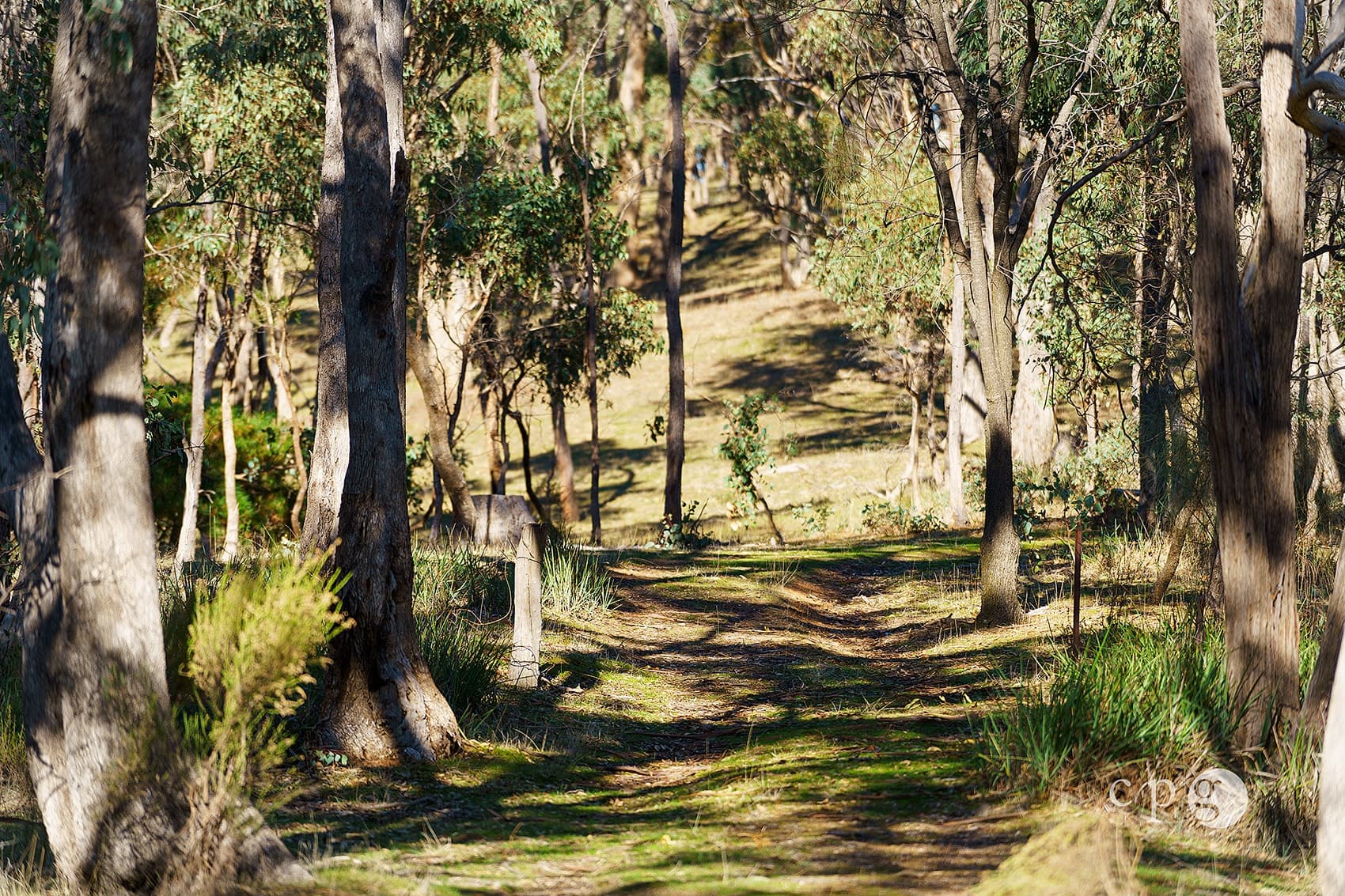 376 Specimen Gully Road, BARKERS CREEK, VIC 3451, Barkers Creek - Thumbnail 3