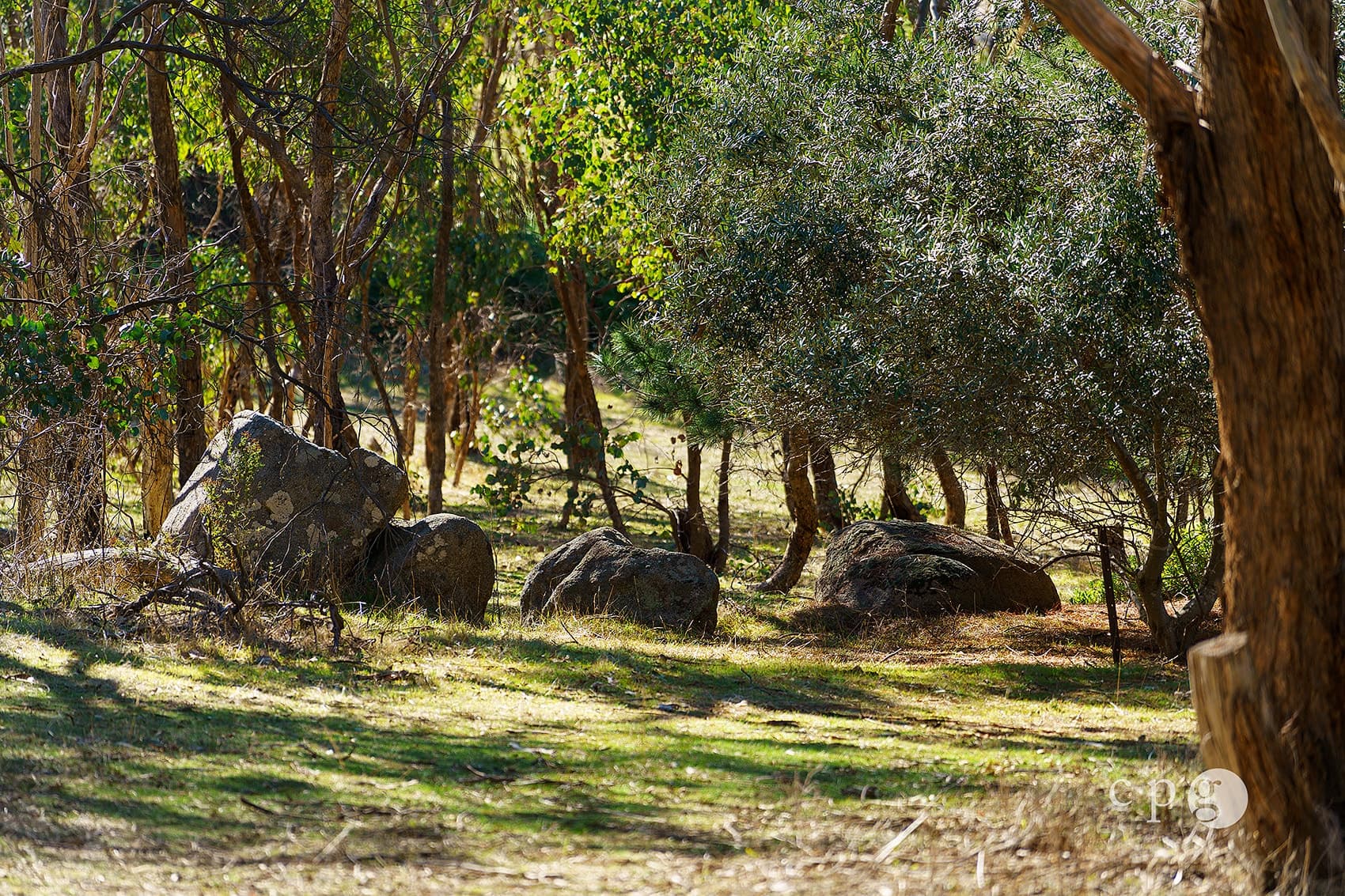 376 Specimen Gully Road, BARKERS CREEK, VIC 3451, Barkers Creek - Thumbnail 4