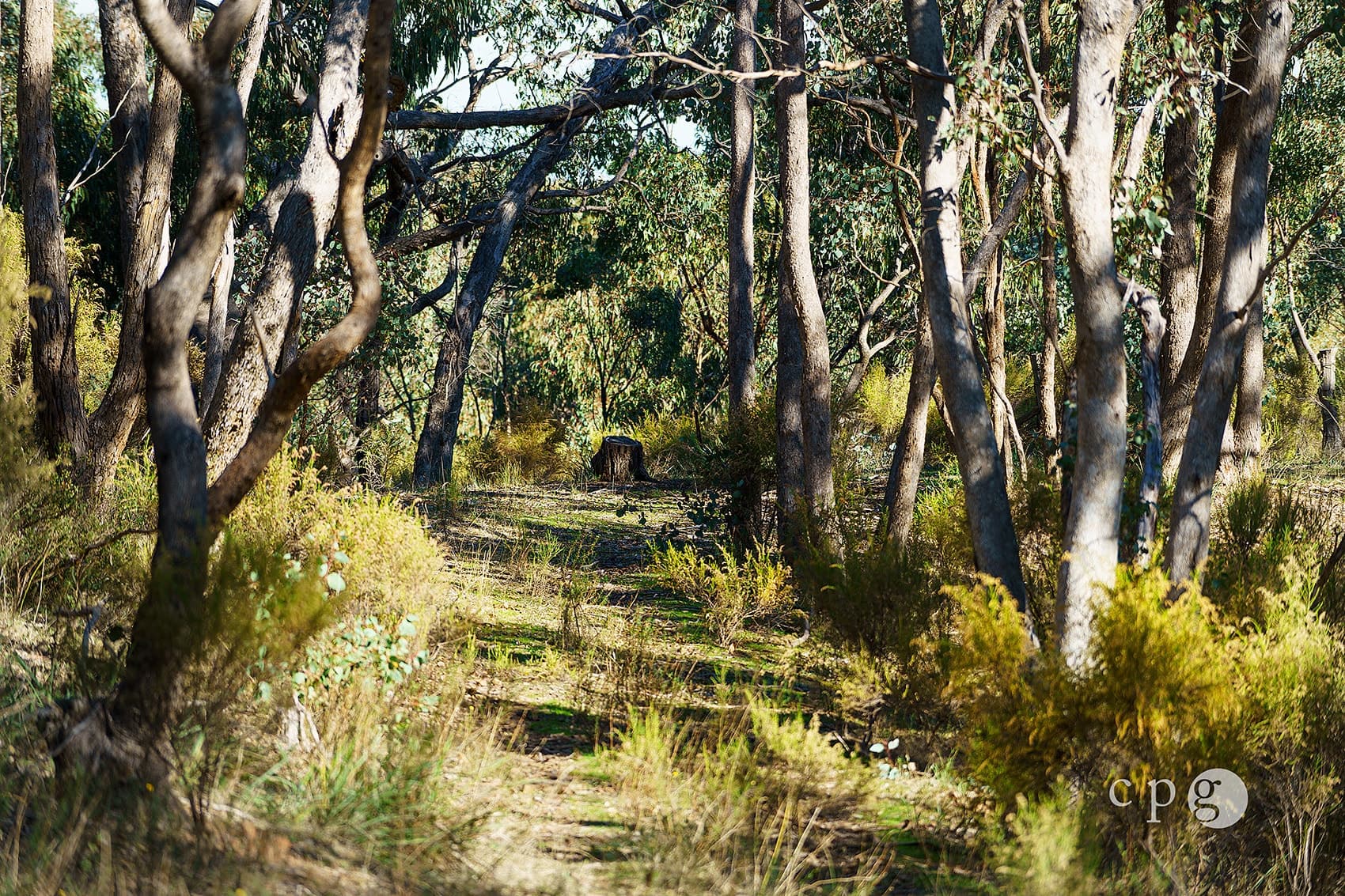 376 Specimen Gully Road, BARKERS CREEK, VIC 3451, Barkers Creek - Thumbnail 5