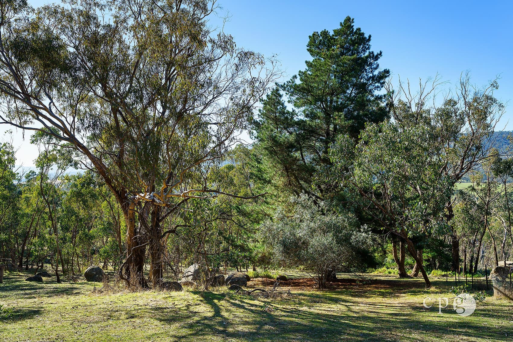 376 Specimen Gully Road, BARKERS CREEK, VIC 3451, Barkers Creek - Thumbnail 8