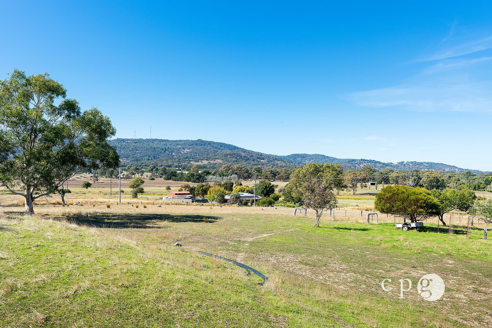 299 Eagles Road, HARCOURT NORTH, VIC 3453, Harcourt North - Thumbnail 6