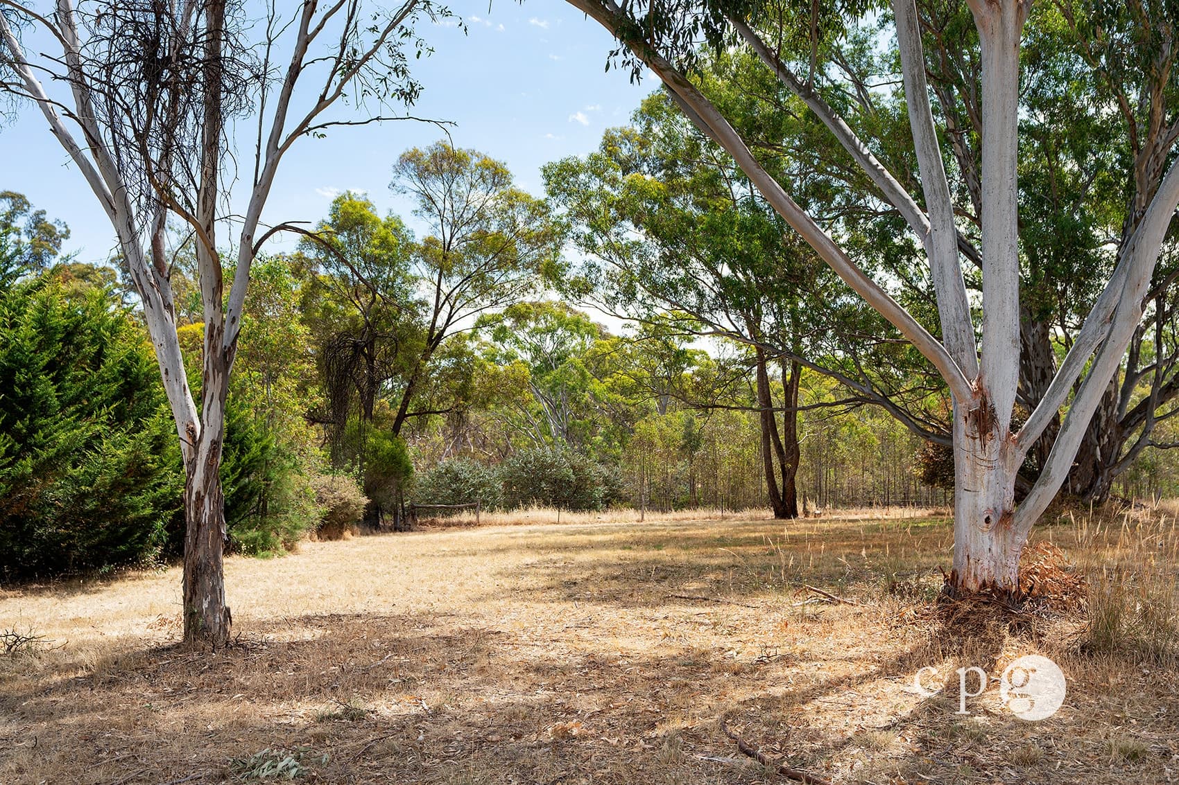 Part of, 533 Maldon-Newstead Road, WELSHMANS REEF, VIC 3462, Welshmans Reef - Thumbnail 5