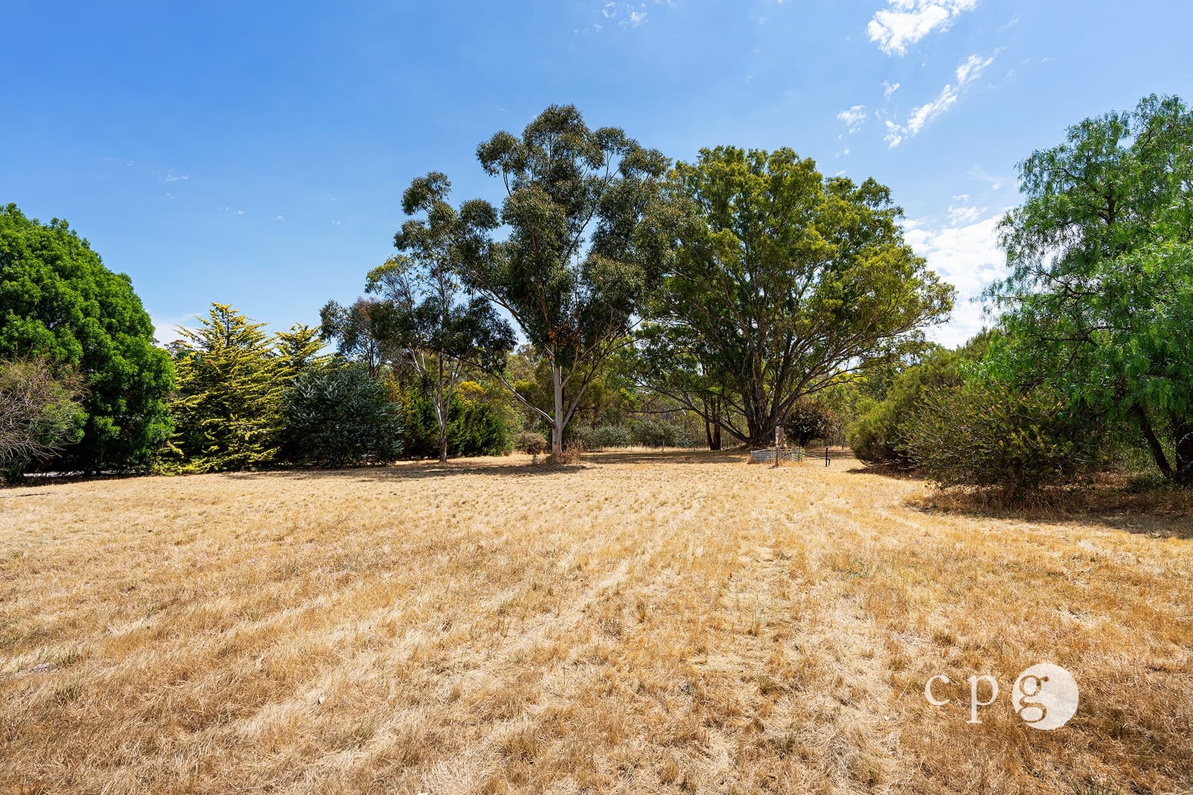 Part of, 533 Maldon-Newstead Road, WELSHMANS REEF, VIC 3462, Welshmans Reef - Thumbnail 6