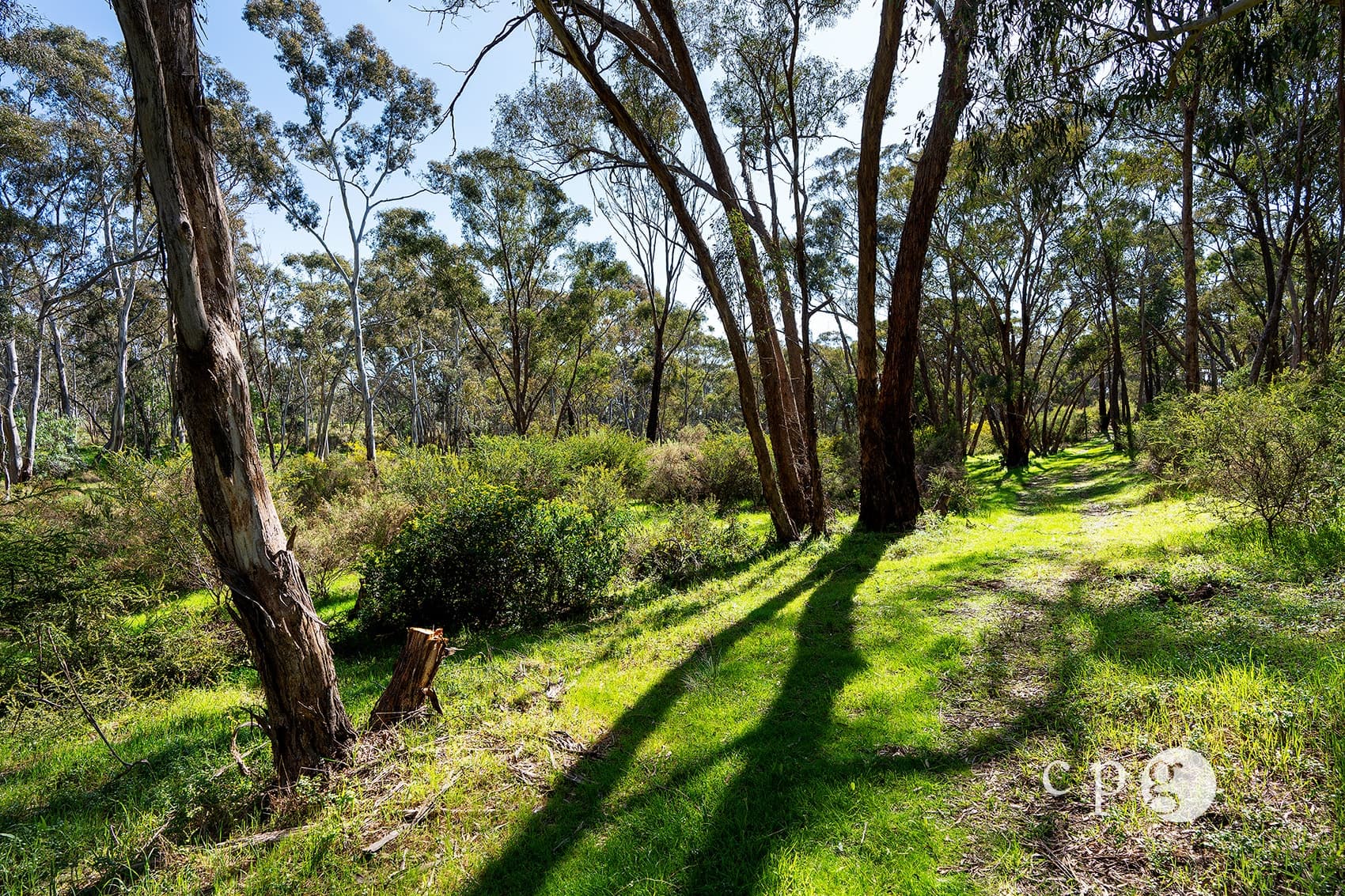 1126 Castlemaine Maldon Road, MALDON, VIC 3463, Maldon - Thumbnail 4