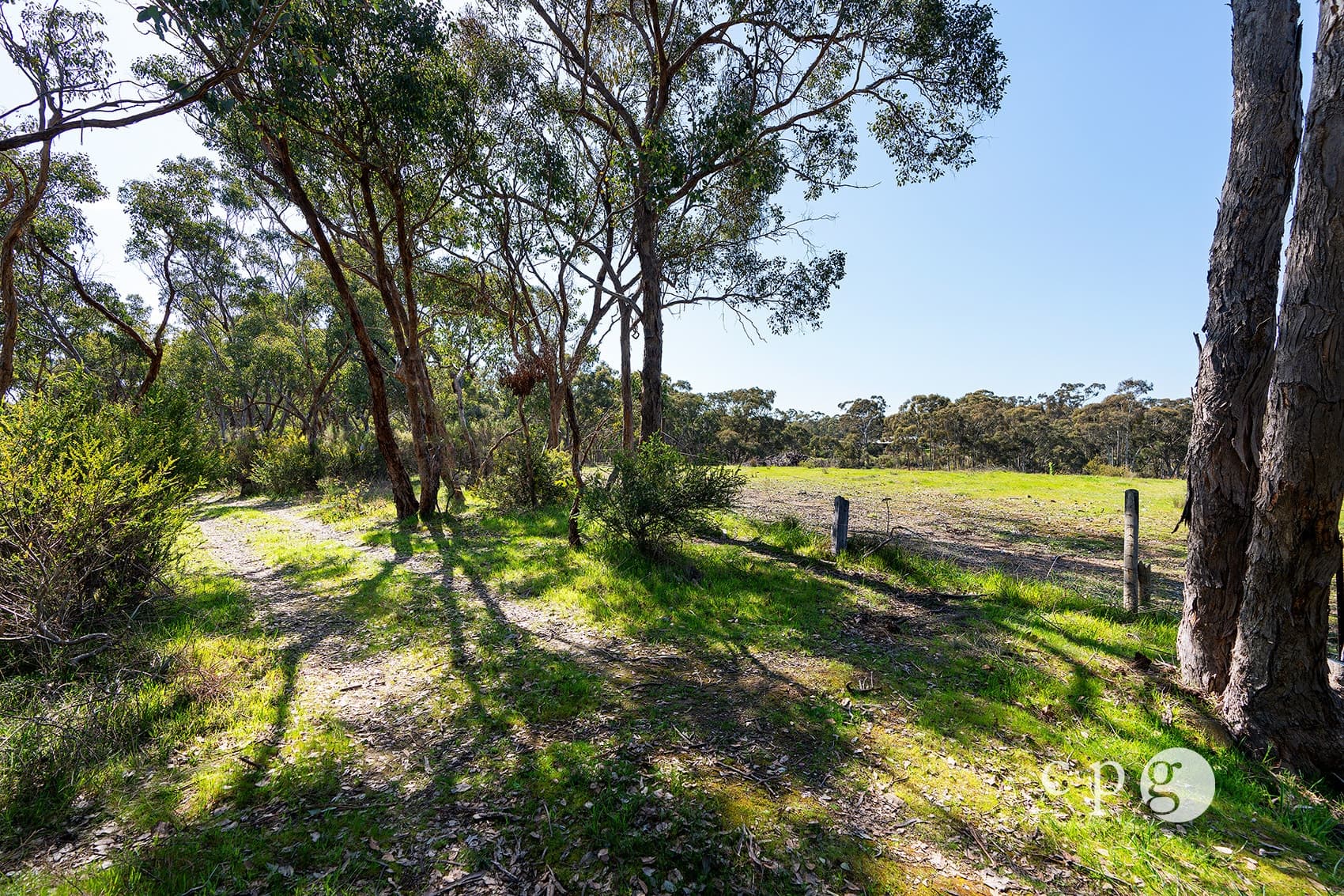 1126 Castlemaine Maldon Road, MALDON, VIC 3463, Maldon - Thumbnail 5