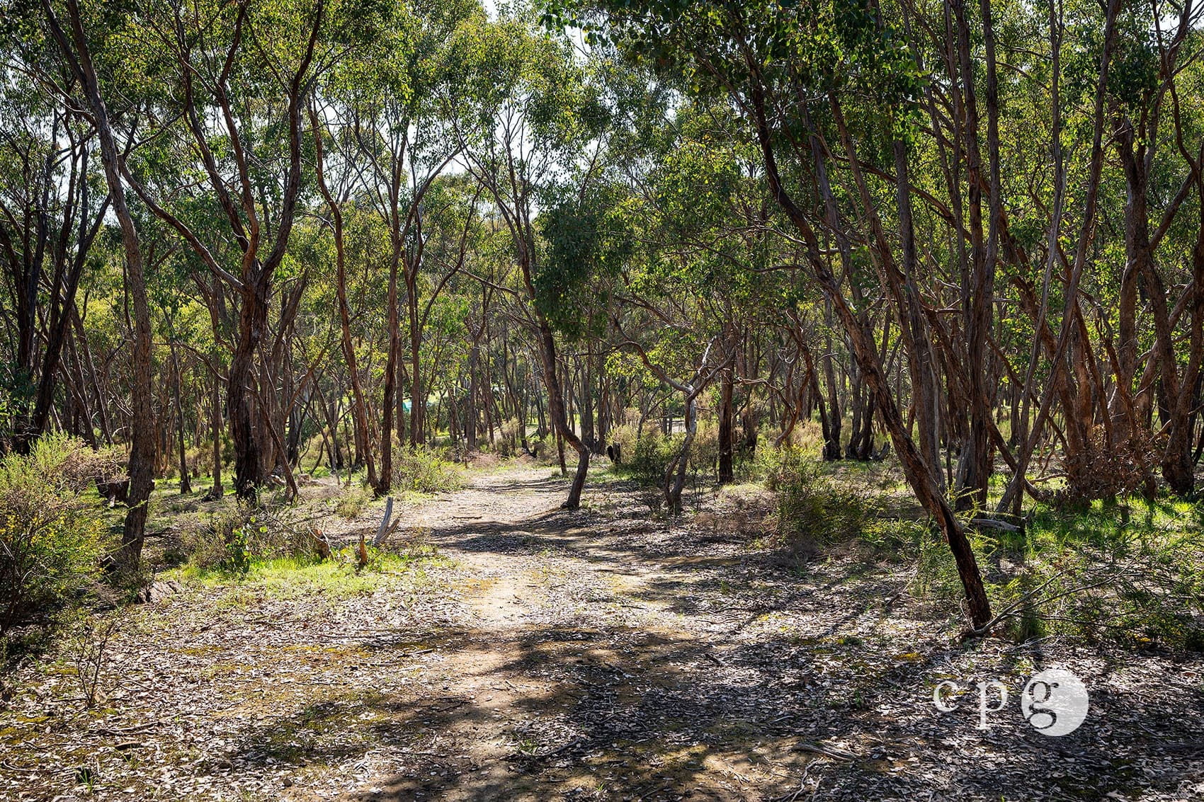 1126 Castlemaine Maldon Road, MALDON, VIC 3463, Maldon - Thumbnail 6