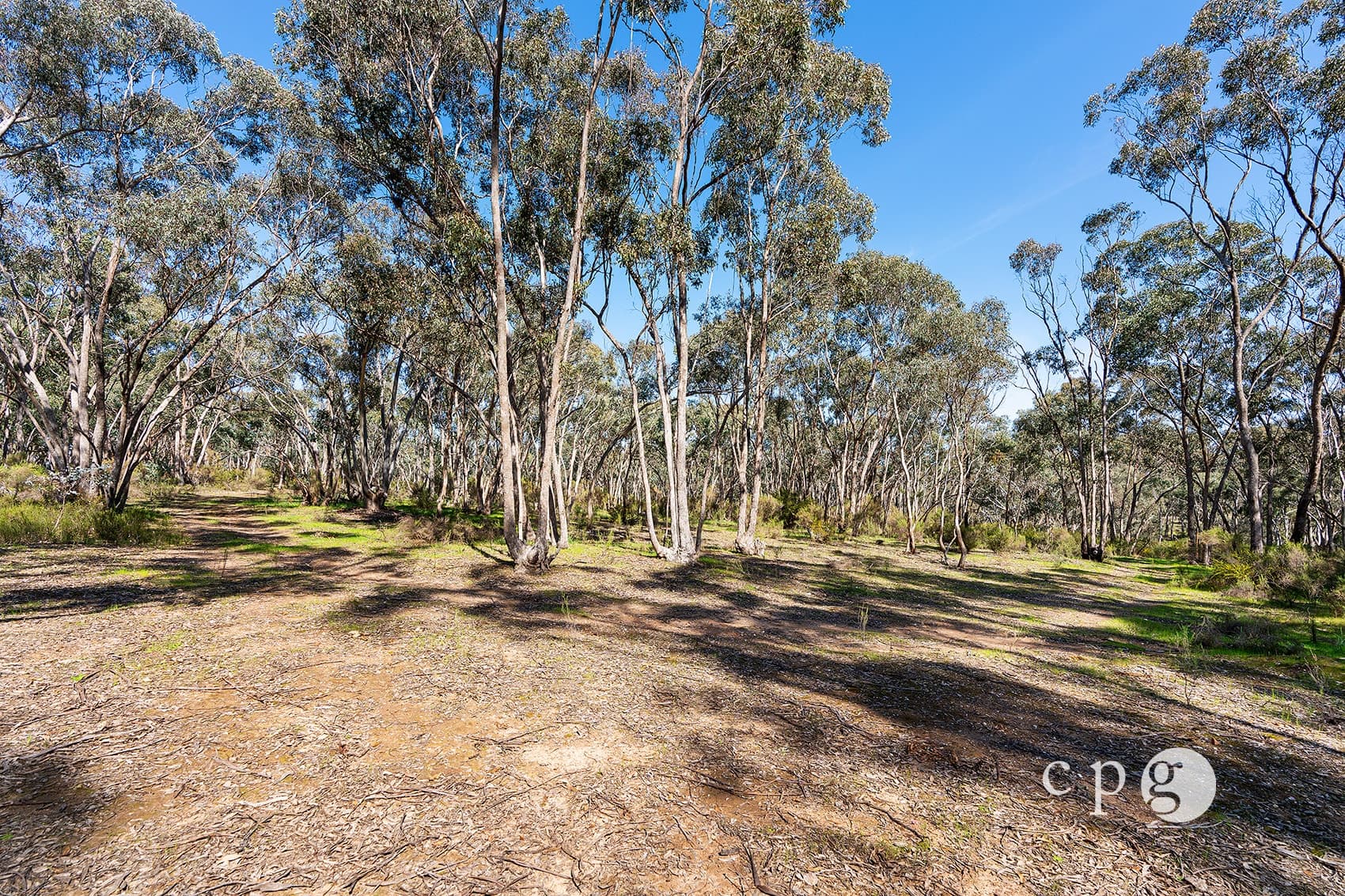 1126 Castlemaine Maldon Road, MALDON, VIC 3463, Maldon - Thumbnail 7