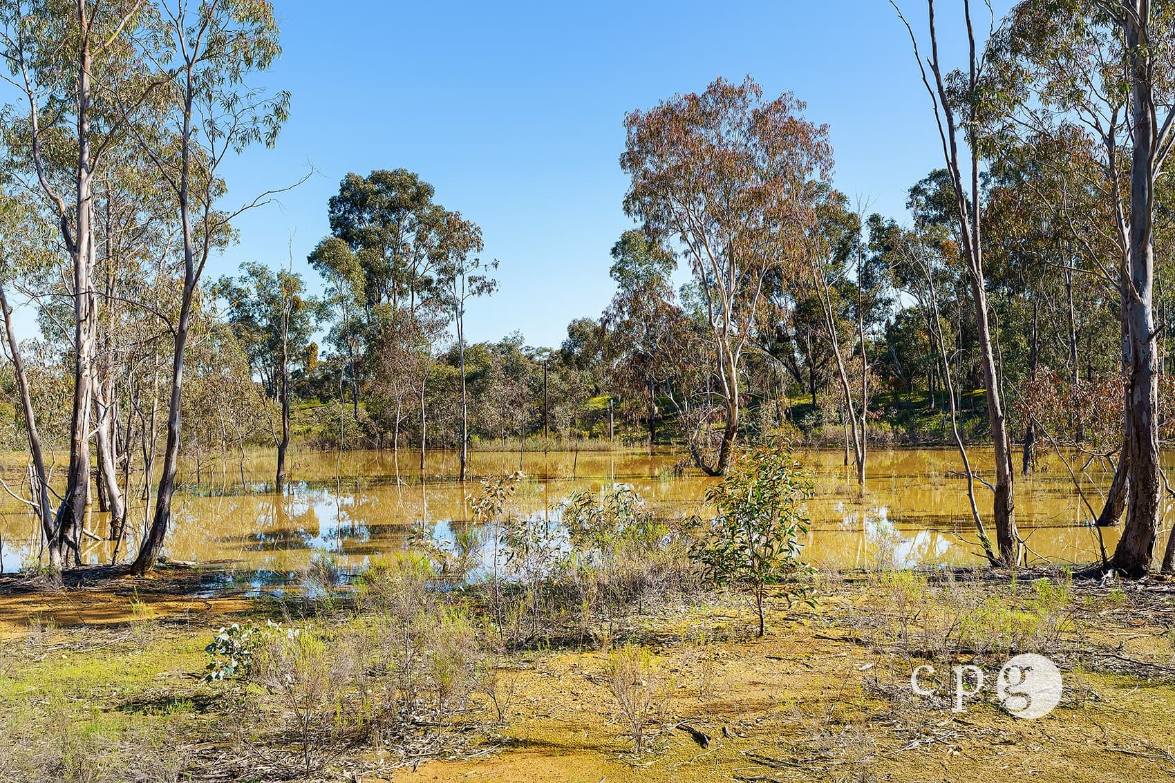 70 Pound Lane, NEWSTEAD, VIC 3462, Newstead - Thumbnail 8