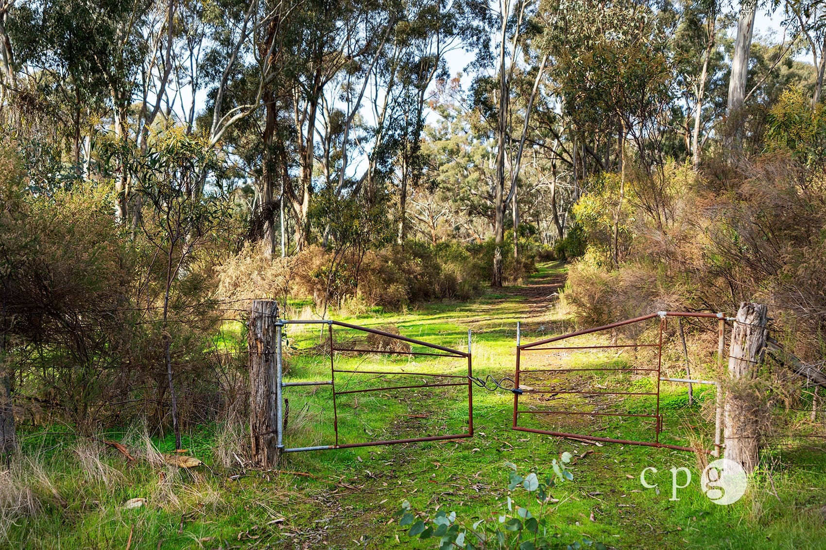 280 Kemps Bridge Road, VAUGHAN, VIC 3451, Vaughan - Thumbnail 3
