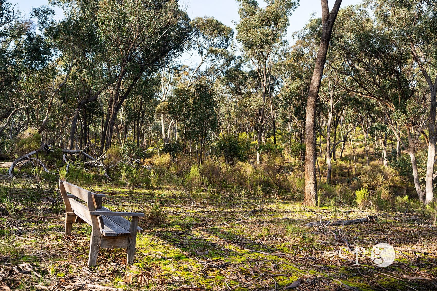 280 Kemps Bridge Road, VAUGHAN, VIC 3451, Vaughan - Thumbnail 6