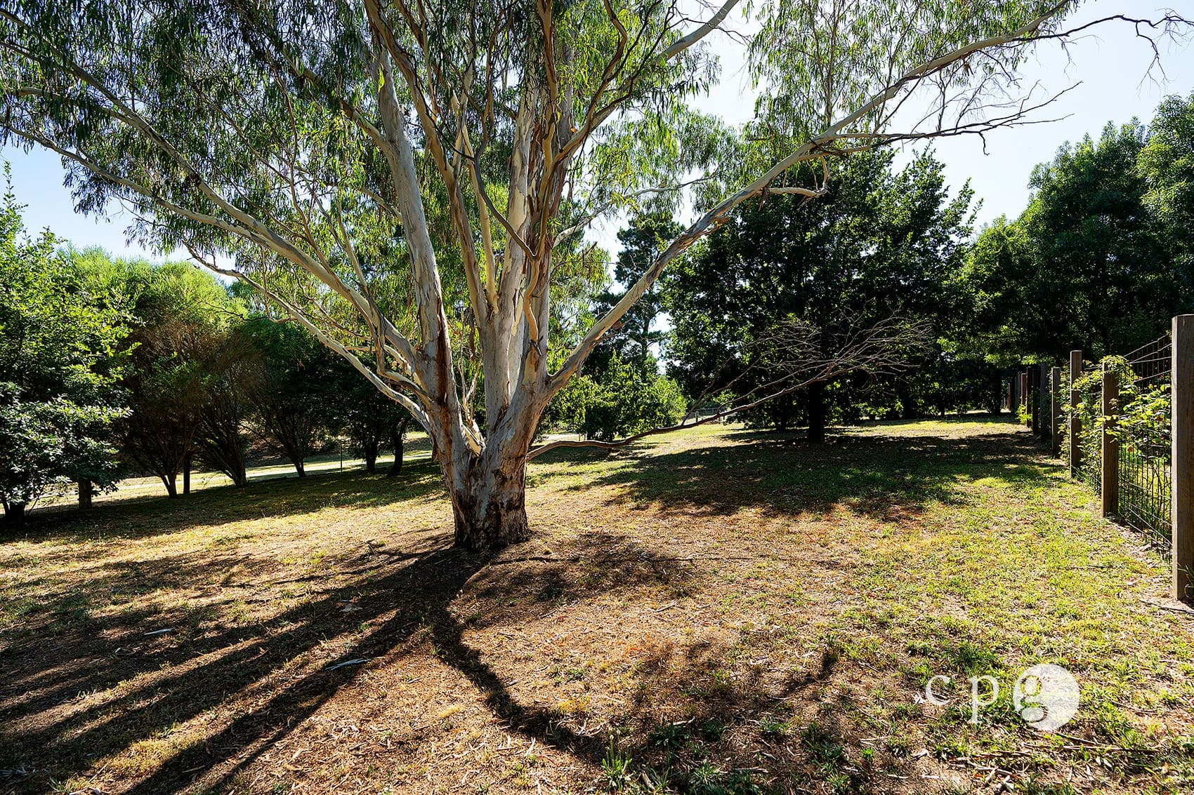 13B Penhallurick Street, CAMPBELLS CREEK, VIC 3451, Campbells Creek - Thumbnail 5