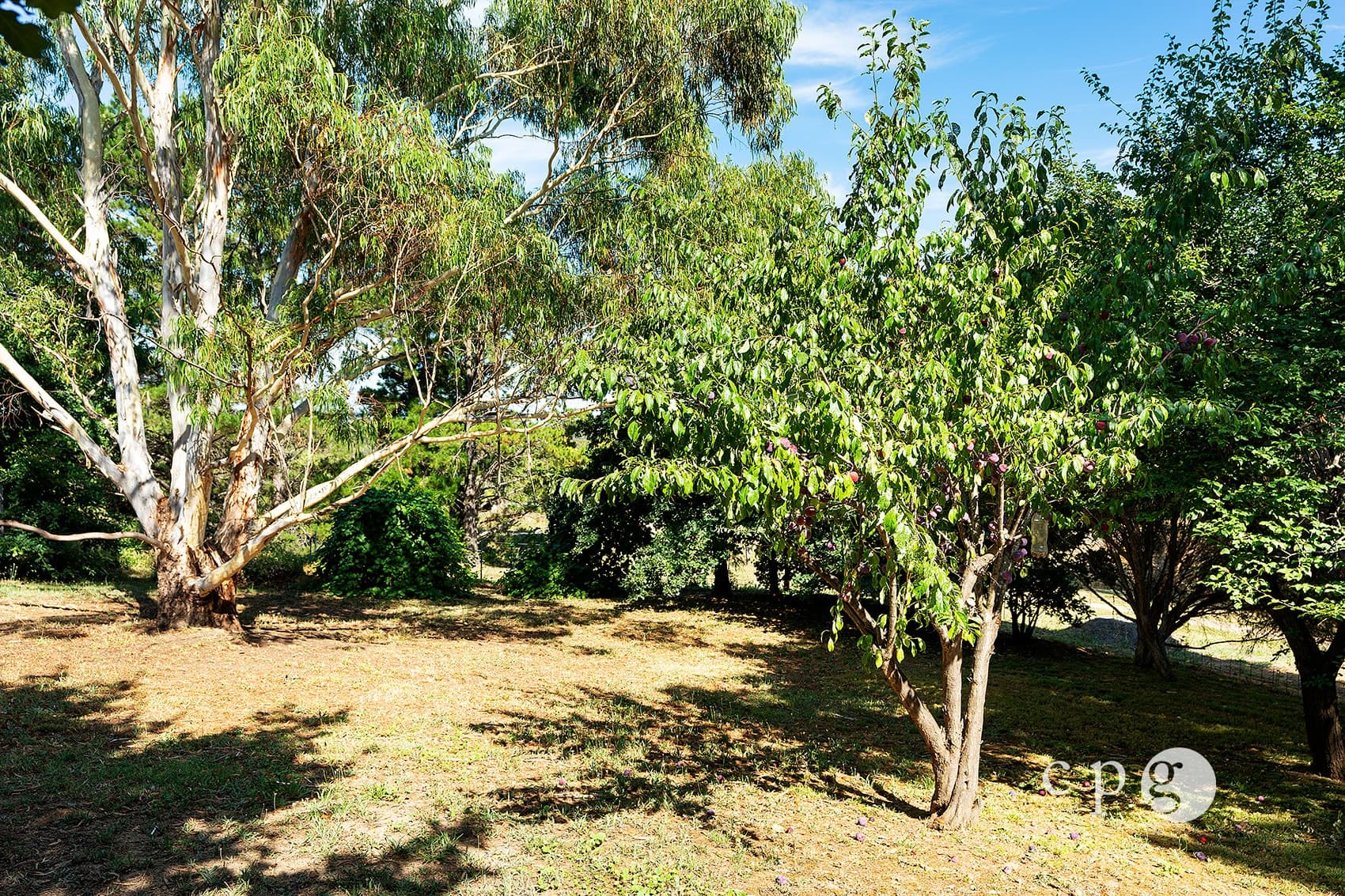 13B Penhallurick Street, CAMPBELLS CREEK, VIC 3451, Campbells Creek - Thumbnail 6