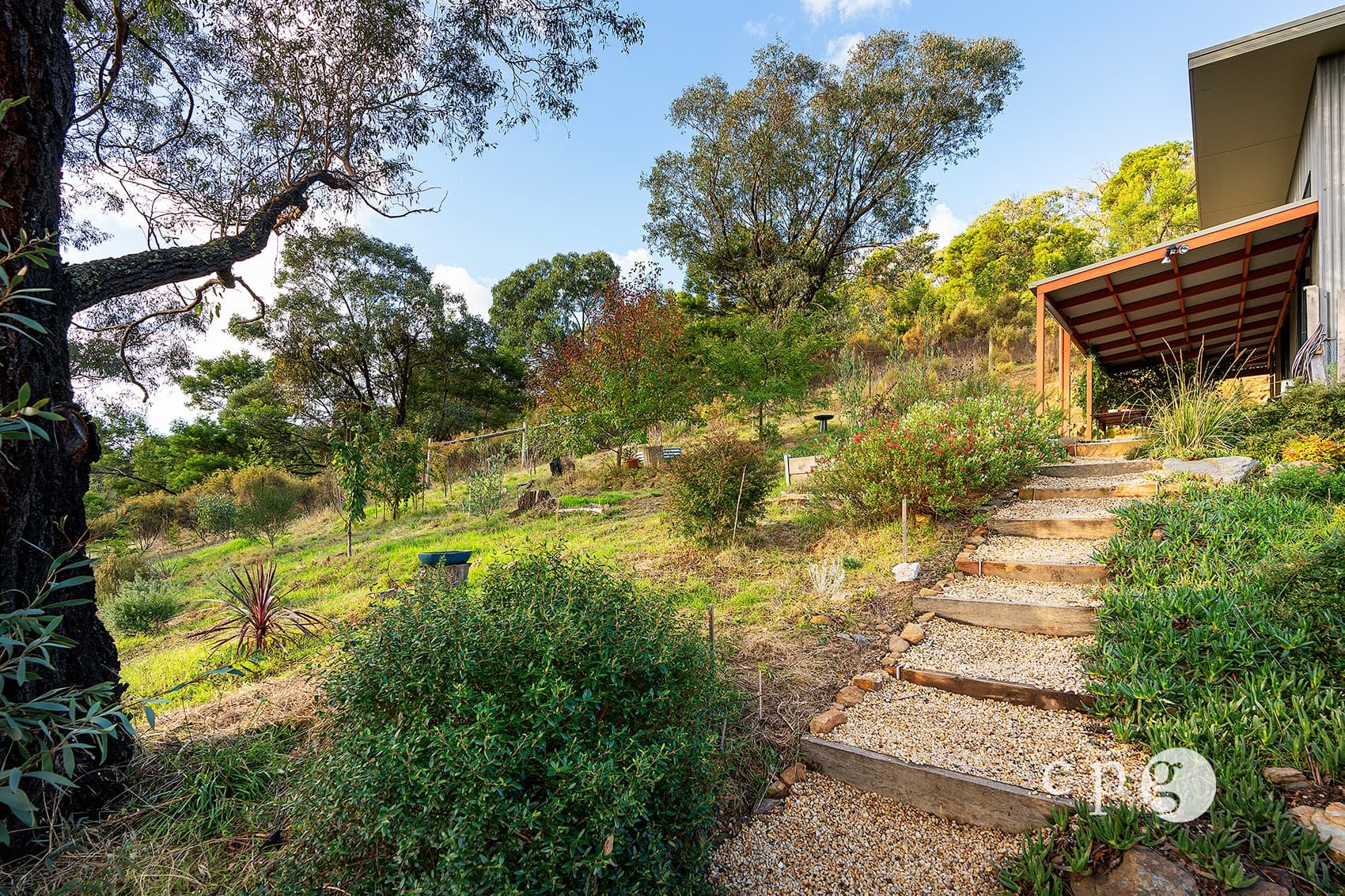 290 Golden Point Road, GOLDEN POINT, VIC 3451, Golden Point - Thumbnail 2