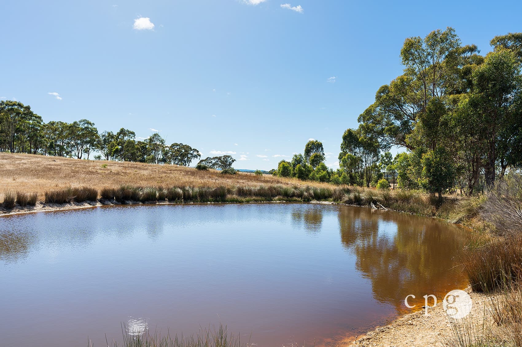 252 Butchers Road, MUCKLEFORD, VIC 3451, Muckleford - Thumbnail 4