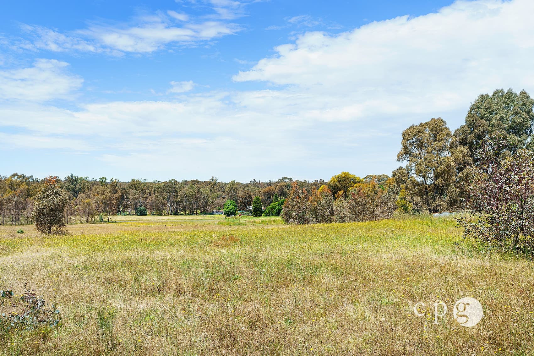 801 Maldon Newstead Road, MALDON, VIC 3463, Maldon - Thumbnail 2