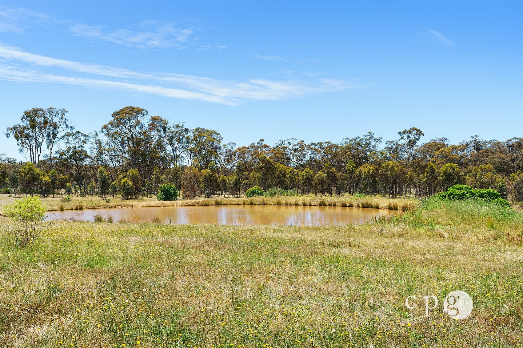 801 Maldon Newstead Road, MALDON, VIC 3463, Maldon - Thumbnail 4