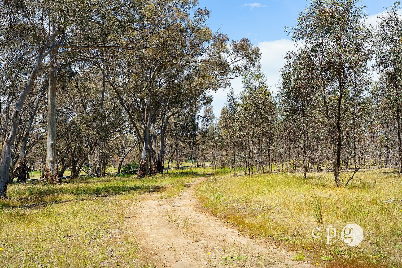 801 Maldon Newstead Road, MALDON, VIC 3463, Maldon - Thumbnail 7