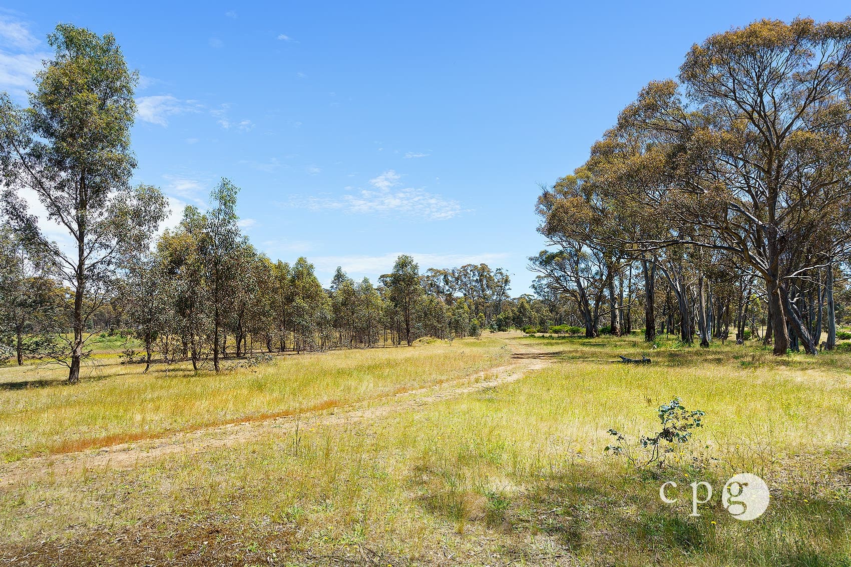 801 Maldon Newstead Road, MALDON, VIC 3463, Maldon - Thumbnail 8