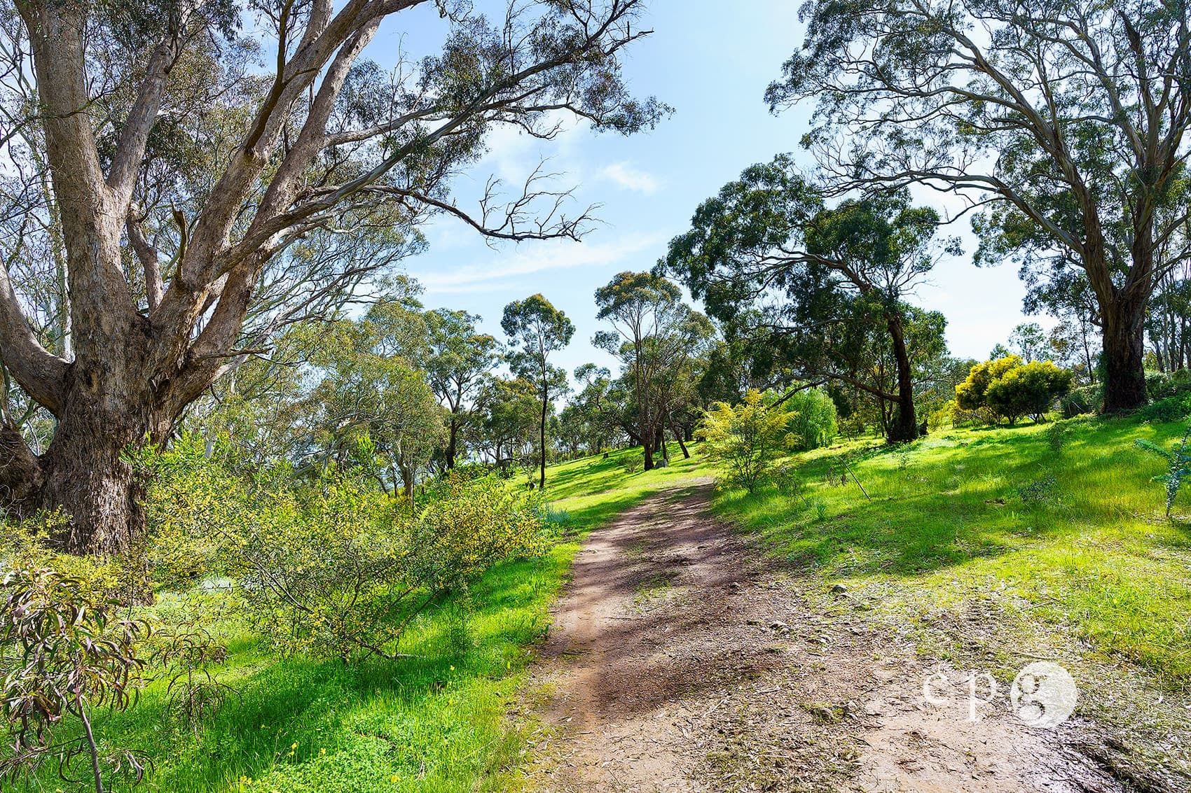26 Mt Tarrengower Road, MALDON, VIC 3463, Maldon - Thumbnail 3